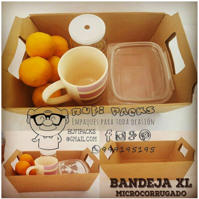 BANDEJA XL MICROCORRUGADO