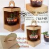 CAJA PARA MACETA MEDIANA