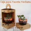 CAJA PARA MACETA MEDIANA