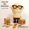 CAKE POP BOX