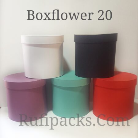 BOXFLOWER 20 ***NO DISPONIBLE