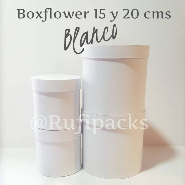 BOXFLOWER 20 ***NO DISPONIBLE