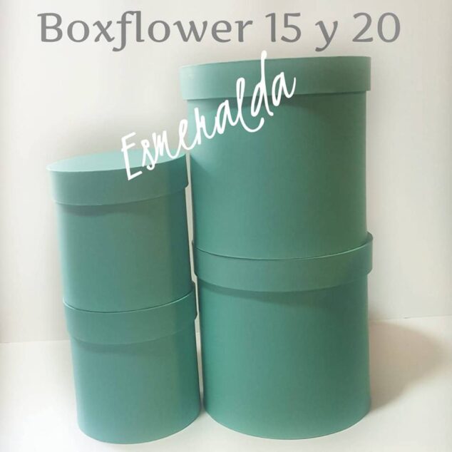 BOXFLOWER 15 ***NO DISPONIBLE