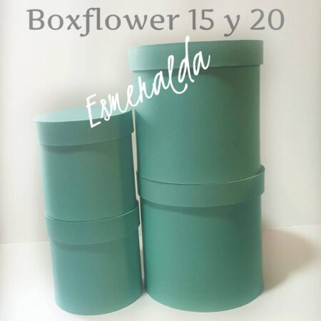 BOXFLOWER ESMERALDA