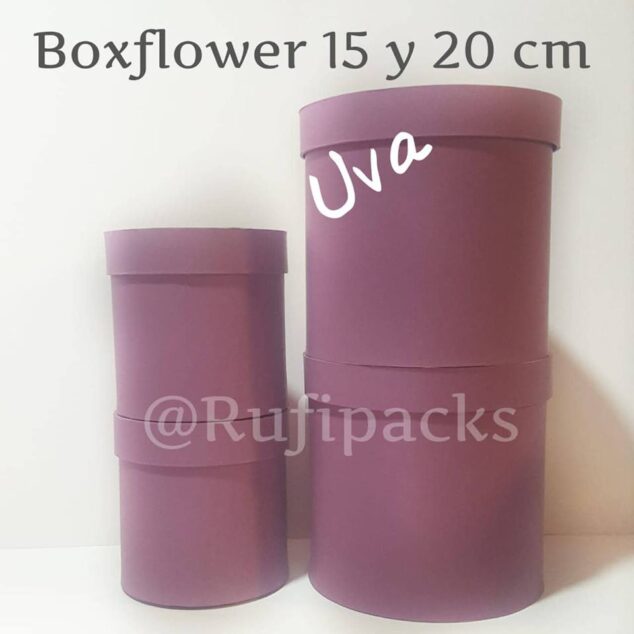 BOXFLOWER 20 ***NO DISPONIBLE