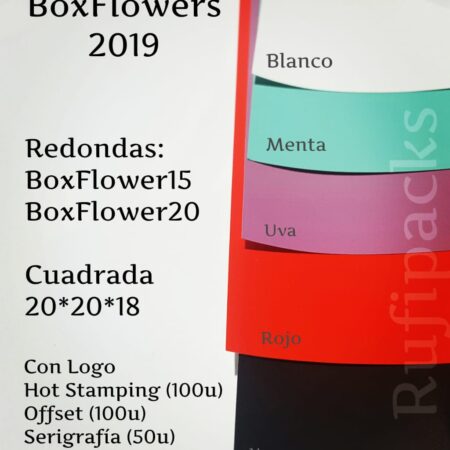 BOXFLOWERS - COLORES ENERO 2019