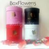 BOXFLOWER 15 LOGO HOT STAMPING ***NO DISPONIBLE
