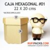 CAJA HEXAGONAL #01