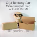 MULTIUSOS RECTANGULAR 22 X 7.3 X 9