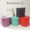 BOXFLOWER 15 ***NO DISPONIBLE