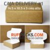 CAJA DELIVERY #1 14.5 x 10.5 x 5 cms.