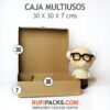 CAJA MULTIUSOS 30 X 30 X 7 CMS.