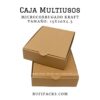 CAJA MULTIUSOS 15 X 20 X 4.5 cms.